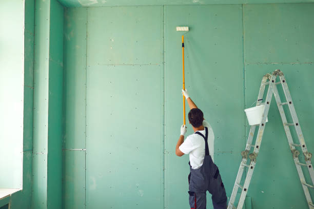 Reliable Flora, IN Mold Removal Solutions