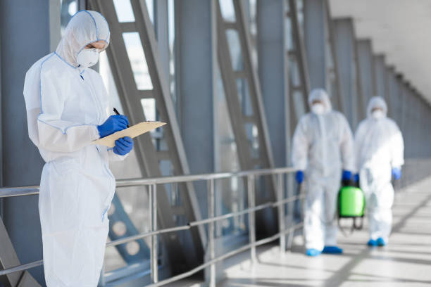 Best Mold Damage Restoration  in Flora, IN