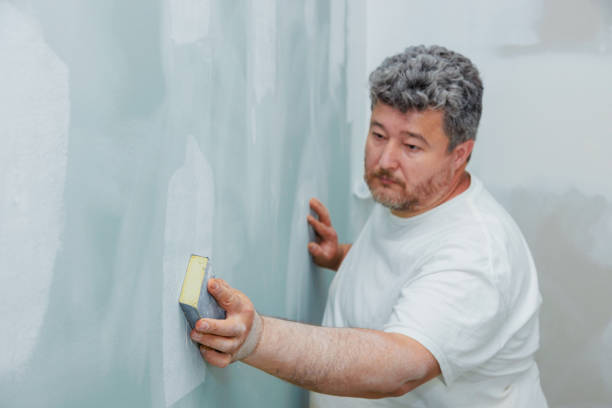 Best Post-Construction Mold Inspection  in Flora, IN