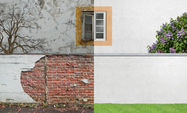 Best Comprehensive Air Testing for Mold Contaminants  in Flora, IN