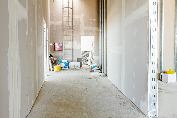Best Mold Prevention Services  in Flora, IN